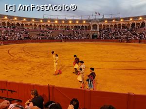 [P60] Spectacol de coridă la Plaza de Toros de Maestranza din Sevilia. Ultimul tur de onoare, deja se lăsase seara peste coridă.  » foto by Aurici
 - 
<span class="allrVoted glyphicon glyphicon-heart hidden" id="av1093221"></span>
<a class="m-l-10 hidden" id="sv1093221" onclick="voting_Foto_DelVot(,1093221,2251)" role="button">șterge vot <span class="glyphicon glyphicon-remove"></span></a>
<a id="v91093221" class=" c-red"  onclick="voting_Foto_SetVot(1093221)" role="button"><span class="glyphicon glyphicon-heart-empty"></span> <b>LIKE</b> = Votează poza</a> <img class="hidden"  id="f1093221W9" src="/imagini/loader.gif" border="0" /><span class="AjErrMes hidden" id="e1093221ErM"></span>