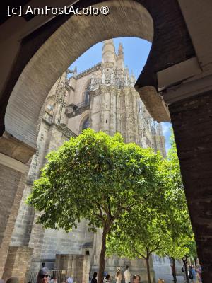 [P27] Sevilla - vedere de la intrare în Catedrală » foto by ANILU
 - 
<span class="allrVoted glyphicon glyphicon-heart hidden" id="av1488339"></span>
<a class="m-l-10 hidden" id="sv1488339" onclick="voting_Foto_DelVot(,1488339,2251)" role="button">șterge vot <span class="glyphicon glyphicon-remove"></span></a>
<a id="v91488339" class=" c-red"  onclick="voting_Foto_SetVot(1488339)" role="button"><span class="glyphicon glyphicon-heart-empty"></span> <b>LIKE</b> = Votează poza</a> <img class="hidden"  id="f1488339W9" src="/imagini/loader.gif" border="0" /><span class="AjErrMes hidden" id="e1488339ErM"></span>