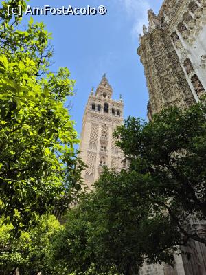 [P28] Sevilla - în curtea interioară a Catedralei » foto by ANILU
 - 
<span class="allrVoted glyphicon glyphicon-heart hidden" id="av1488340"></span>
<a class="m-l-10 hidden" id="sv1488340" onclick="voting_Foto_DelVot(,1488340,2251)" role="button">șterge vot <span class="glyphicon glyphicon-remove"></span></a>
<a id="v91488340" class=" c-red"  onclick="voting_Foto_SetVot(1488340)" role="button"><span class="glyphicon glyphicon-heart-empty"></span> <b>LIKE</b> = Votează poza</a> <img class="hidden"  id="f1488340W9" src="/imagini/loader.gif" border="0" /><span class="AjErrMes hidden" id="e1488340ErM"></span>