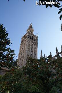 [P37] Giralda, văzută din Patio de Naranjos » foto by Costi
 - 
<span class="allrVoted glyphicon glyphicon-heart hidden" id="av196108"></span>
<a class="m-l-10 hidden" id="sv196108" onclick="voting_Foto_DelVot(,196108,2251)" role="button">șterge vot <span class="glyphicon glyphicon-remove"></span></a>
<a id="v9196108" class=" c-red"  onclick="voting_Foto_SetVot(196108)" role="button"><span class="glyphicon glyphicon-heart-empty"></span> <b>LIKE</b> = Votează poza</a> <img class="hidden"  id="f196108W9" src="/imagini/loader.gif" border="0" /><span class="AjErrMes hidden" id="e196108ErM"></span>