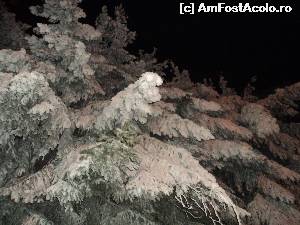 [P04] Hotelul Ciucas trei stele din Tusnad - O mica plimbare spre partia de ski. Asta era pe la ora 22,45! Zapada chiar era de fotografiat, pentru ca daca va aduceti aminte, de revelionul trecut nu era zapada pe nicaieri in tara.  » foto by vega06
 - 
<span class="allrVoted glyphicon glyphicon-heart hidden" id="av582791"></span>
<a class="m-l-10 hidden" id="sv582791" onclick="voting_Foto_DelVot(,582791,2272)" role="button">șterge vot <span class="glyphicon glyphicon-remove"></span></a>
<a id="v9582791" class=" c-red"  onclick="voting_Foto_SetVot(582791)" role="button"><span class="glyphicon glyphicon-heart-empty"></span> <b>LIKE</b> = Votează poza</a> <img class="hidden"  id="f582791W9" src="/imagini/loader.gif" border="0" /><span class="AjErrMes hidden" id="e582791ErM"></span>