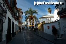 [P01] Straduta din Cordoba, vazute din Calle San Fernando, pe drumul spre Mezquita » foto by ariciu
 - 
<span class="allrVoted glyphicon glyphicon-heart hidden" id="av494611"></span>
<a class="m-l-10 hidden" id="sv494611" onclick="voting_Foto_DelVot(,494611,2304)" role="button">șterge vot <span class="glyphicon glyphicon-remove"></span></a>
<a id="v9494611" class=" c-red"  onclick="voting_Foto_SetVot(494611)" role="button"><span class="glyphicon glyphicon-heart-empty"></span> <b>LIKE</b> = Votează poza</a> <img class="hidden"  id="f494611W9" src="/imagini/loader.gif" border="0" /><span class="AjErrMes hidden" id="e494611ErM"></span>