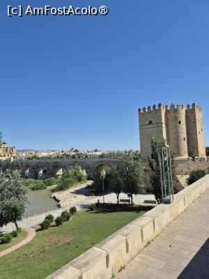 [P02] Cordoba - Torre de la Calahorra » foto by ANILU
 - 
<span class="allrVoted glyphicon glyphicon-heart hidden" id="av1487826"></span>
<a class="m-l-10 hidden" id="sv1487826" onclick="voting_Foto_DelVot(,1487826,2304)" role="button">șterge vot <span class="glyphicon glyphicon-remove"></span></a>
<a id="v91487826" class=" c-red"  onclick="voting_Foto_SetVot(1487826)" role="button"><span class="glyphicon glyphicon-heart-empty"></span> <b>LIKE</b> = Votează poza</a> <img class="hidden"  id="f1487826W9" src="/imagini/loader.gif" border="0" /><span class="AjErrMes hidden" id="e1487826ErM"></span>