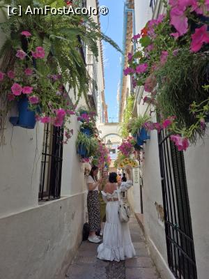 [P25] Cordoba - pe strada florilor în cartierul evreiesc și ghida în prim plan » foto by ANILU
 - 
<span class="allrVoted glyphicon glyphicon-heart hidden" id="av1487849"></span>
<a class="m-l-10 hidden" id="sv1487849" onclick="voting_Foto_DelVot(,1487849,2304)" role="button">șterge vot <span class="glyphicon glyphicon-remove"></span></a>
<a id="v91487849" class=" c-red"  onclick="voting_Foto_SetVot(1487849)" role="button"><span class="glyphicon glyphicon-heart-empty"></span> <b>LIKE</b> = Votează poza</a> <img class="hidden"  id="f1487849W9" src="/imagini/loader.gif" border="0" /><span class="AjErrMes hidden" id="e1487849ErM"></span>