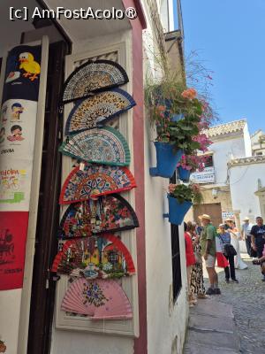 [P26] Cordoba - pe strada florilor » foto by ANILU
 - 
<span class="allrVoted glyphicon glyphicon-heart hidden" id="av1487850"></span>
<a class="m-l-10 hidden" id="sv1487850" onclick="voting_Foto_DelVot(,1487850,2304)" role="button">șterge vot <span class="glyphicon glyphicon-remove"></span></a>
<a id="v91487850" class=" c-red"  onclick="voting_Foto_SetVot(1487850)" role="button"><span class="glyphicon glyphicon-heart-empty"></span> <b>LIKE</b> = Votează poza</a> <img class="hidden"  id="f1487850W9" src="/imagini/loader.gif" border="0" /><span class="AjErrMes hidden" id="e1487850ErM"></span>