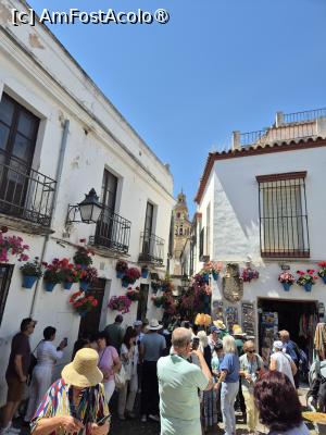 [P27] Cordoba - patio în capătul străzii florilor și vedere spre turla clopotniței » foto by ANILU
 - 
<span class="allrVoted glyphicon glyphicon-heart hidden" id="av1487851"></span>
<a class="m-l-10 hidden" id="sv1487851" onclick="voting_Foto_DelVot(,1487851,2304)" role="button">șterge vot <span class="glyphicon glyphicon-remove"></span></a>
<a id="v91487851" class=" c-red"  onclick="voting_Foto_SetVot(1487851)" role="button"><span class="glyphicon glyphicon-heart-empty"></span> <b>LIKE</b> = Votează poza</a> <img class="hidden"  id="f1487851W9" src="/imagini/loader.gif" border="0" /><span class="AjErrMes hidden" id="e1487851ErM"></span>