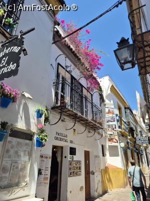 [P28] Cordoba - prin centrul vechi » foto by ANILU
 - 
<span class="allrVoted glyphicon glyphicon-heart hidden" id="av1487852"></span>
<a class="m-l-10 hidden" id="sv1487852" onclick="voting_Foto_DelVot(,1487852,2304)" role="button">șterge vot <span class="glyphicon glyphicon-remove"></span></a>
<a id="v91487852" class=" c-red"  onclick="voting_Foto_SetVot(1487852)" role="button"><span class="glyphicon glyphicon-heart-empty"></span> <b>LIKE</b> = Votează poza</a> <img class="hidden"  id="f1487852W9" src="/imagini/loader.gif" border="0" /><span class="AjErrMes hidden" id="e1487852ErM"></span>