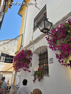 [P37] Cordoba - prin centrul vechi » foto by ANILU
 - 
<span class="allrVoted glyphicon glyphicon-heart hidden" id="av1487861"></span>
<a class="m-l-10 hidden" id="sv1487861" onclick="voting_Foto_DelVot(,1487861,2304)" role="button">șterge vot <span class="glyphicon glyphicon-remove"></span></a>
<a id="v91487861" class=" c-red"  onclick="voting_Foto_SetVot(1487861)" role="button"><span class="glyphicon glyphicon-heart-empty"></span> <b>LIKE</b> = Votează poza</a> <img class="hidden"  id="f1487861W9" src="/imagini/loader.gif" border="0" /><span class="AjErrMes hidden" id="e1487861ErM"></span>