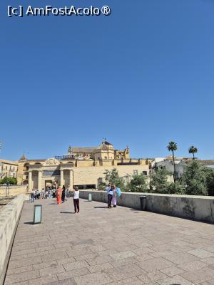 [P04] Cordoba - vedere de pe pod spre centrul vechi » foto by ANILU
 - 
<span class="allrVoted glyphicon glyphicon-heart hidden" id="av1487828"></span>
<a class="m-l-10 hidden" id="sv1487828" onclick="voting_Foto_DelVot(,1487828,2304)" role="button">șterge vot <span class="glyphicon glyphicon-remove"></span></a>
<a id="v91487828" class=" c-red"  onclick="voting_Foto_SetVot(1487828)" role="button"><span class="glyphicon glyphicon-heart-empty"></span> <b>LIKE</b> = Votează poza</a> <img class="hidden"  id="f1487828W9" src="/imagini/loader.gif" border="0" /><span class="AjErrMes hidden" id="e1487828ErM"></span>