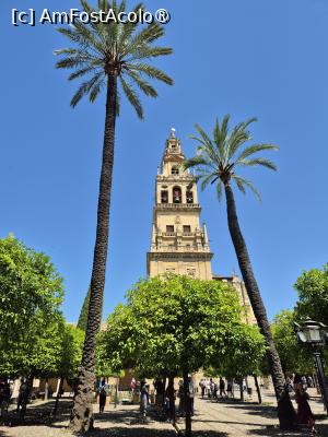 [P08] Cordoba - curtea interioară a Moscheii » foto by ANILU
 - 
<span class="allrVoted glyphicon glyphicon-heart hidden" id="av1487832"></span>
<a class="m-l-10 hidden" id="sv1487832" onclick="voting_Foto_DelVot(,1487832,2304)" role="button">șterge vot <span class="glyphicon glyphicon-remove"></span></a>
<a id="v91487832" class=" c-red"  onclick="voting_Foto_SetVot(1487832)" role="button"><span class="glyphicon glyphicon-heart-empty"></span> <b>LIKE</b> = Votează poza</a> <img class="hidden"  id="f1487832W9" src="/imagini/loader.gif" border="0" /><span class="AjErrMes hidden" id="e1487832ErM"></span>