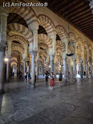 [P09] Cordoba - interior Moschee » foto by ANILU
 - 
<span class="allrVoted glyphicon glyphicon-heart hidden" id="av1487833"></span>
<a class="m-l-10 hidden" id="sv1487833" onclick="voting_Foto_DelVot(,1487833,2304)" role="button">șterge vot <span class="glyphicon glyphicon-remove"></span></a>
<a id="v91487833" class=" c-red"  onclick="voting_Foto_SetVot(1487833)" role="button"><span class="glyphicon glyphicon-heart-empty"></span> <b>LIKE</b> = Votează poza</a> <img class="hidden"  id="f1487833W9" src="/imagini/loader.gif" border="0" /><span class="AjErrMes hidden" id="e1487833ErM"></span>