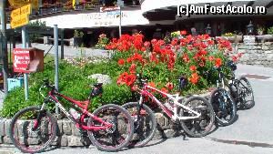 [P19] Biciclete şi maci-Klosters » foto by GIN2015*
 - 
<span class="allrVoted glyphicon glyphicon-heart hidden" id="av657077"></span>
<a class="m-l-10 hidden" id="sv657077" onclick="voting_Foto_DelVot(,657077,2363)" role="button">șterge vot <span class="glyphicon glyphicon-remove"></span></a>
<a id="v9657077" class=" c-red"  onclick="voting_Foto_SetVot(657077)" role="button"><span class="glyphicon glyphicon-heart-empty"></span> <b>LIKE</b> = Votează poza</a> <img class="hidden"  id="f657077W9" src="/imagini/loader.gif" border="0" /><span class="AjErrMes hidden" id="e657077ErM"></span>