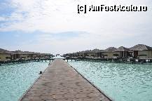 [P51] Pontonul cu water bungalows; cele mai luxoase erau cele din spate,spre capat » foto by cristina65
 - 
<span class="allrVoted glyphicon glyphicon-heart hidden" id="av308755"></span>
<a class="m-l-10 hidden" id="sv308755" onclick="voting_Foto_DelVot(,308755,2393)" role="button">șterge vot <span class="glyphicon glyphicon-remove"></span></a>
<a id="v9308755" class=" c-red"  onclick="voting_Foto_SetVot(308755)" role="button"><span class="glyphicon glyphicon-heart-empty"></span> <b>LIKE</b> = Votează poza</a> <img class="hidden"  id="f308755W9" src="/imagini/loader.gif" border="0" /><span class="AjErrMes hidden" id="e308755ErM"></span>