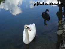 [P34] Lacul lebedelor de la cheile gradistei » foto by ileanaxperta*
 - 
<span class="allrVoted glyphicon glyphicon-heart hidden" id="av77691"></span>
<a class="m-l-10 hidden" id="sv77691" onclick="voting_Foto_DelVot(,77691,2421)" role="button">șterge vot <span class="glyphicon glyphicon-remove"></span></a>
<a id="v977691" class=" c-red"  onclick="voting_Foto_SetVot(77691)" role="button"><span class="glyphicon glyphicon-heart-empty"></span> <b>LIKE</b> = Votează poza</a> <img class="hidden"  id="f77691W9" src="/imagini/loader.gif" border="0" /><span class="AjErrMes hidden" id="e77691ErM"></span>