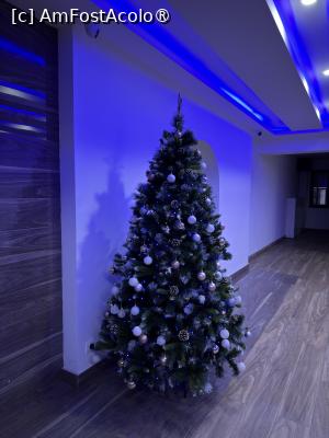 [P16] Apartamentul ISARAN2D4E, Brașov. Bradul din holul blocului. » foto by Floria
 - 
<span class="allrVoted glyphicon glyphicon-heart hidden" id="av1516923"></span>
<a class="m-l-10 hidden" id="sv1516923" onclick="voting_Foto_DelVot(,1516923,2429)" role="button">șterge vot <span class="glyphicon glyphicon-remove"></span></a>
<a id="v91516923" class=" c-red"  onclick="voting_Foto_SetVot(1516923)" role="button"><span class="glyphicon glyphicon-heart-empty"></span> <b>LIKE</b> = Votează poza</a> <img class="hidden"  id="f1516923W9" src="/imagini/loader.gif" border="0" /><span class="AjErrMes hidden" id="e1516923ErM"></span>