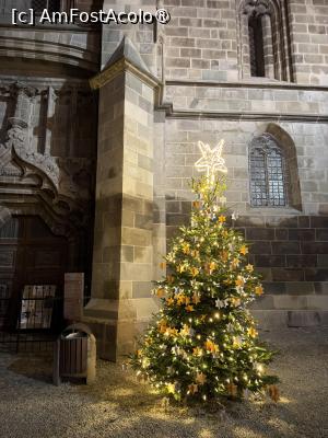 [P19] Plimbare de seară prin Brașov. » foto by Floria
 - 
<span class="allrVoted glyphicon glyphicon-heart hidden" id="av1516926"></span>
<a class="m-l-10 hidden" id="sv1516926" onclick="voting_Foto_DelVot(,1516926,2429)" role="button">șterge vot <span class="glyphicon glyphicon-remove"></span></a>
<a id="v91516926" class=" c-red"  onclick="voting_Foto_SetVot(1516926)" role="button"><span class="glyphicon glyphicon-heart-empty"></span> <b>LIKE</b> = Votează poza</a> <img class="hidden"  id="f1516926W9" src="/imagini/loader.gif" border="0" /><span class="AjErrMes hidden" id="e1516926ErM"></span>