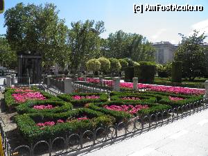 [P13] gradina de flori in Plaza de Oriente » foto by barbu minel
 - 
<span class="allrVoted glyphicon glyphicon-heart hidden" id="av338287"></span>
<a class="m-l-10 hidden" id="sv338287" onclick="voting_Foto_DelVot(,338287,2442)" role="button">șterge vot <span class="glyphicon glyphicon-remove"></span></a>
<a id="v9338287" class=" c-red"  onclick="voting_Foto_SetVot(338287)" role="button"><span class="glyphicon glyphicon-heart-empty"></span> <b>LIKE</b> = Votează poza</a> <img class="hidden"  id="f338287W9" src="/imagini/loader.gif" border="0" /><span class="AjErrMes hidden" id="e338287ErM"></span>