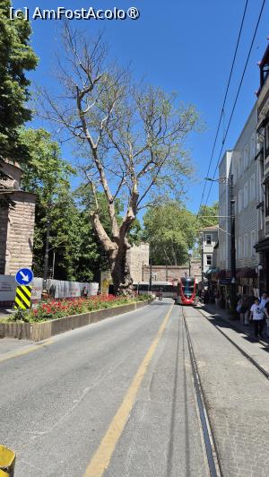 [P17] Istanbul - prin centrul istoric » foto by ANILU
 - 
<span class="allrVoted glyphicon glyphicon-heart hidden" id="av1531289"></span>
<a class="m-l-10 hidden" id="sv1531289" onclick="voting_Foto_DelVot(,1531289,2468)" role="button">șterge vot <span class="glyphicon glyphicon-remove"></span></a>
<a id="v91531289" class=" c-red"  onclick="voting_Foto_SetVot(1531289)" role="button"><span class="glyphicon glyphicon-heart-empty"></span> <b>LIKE</b> = Votează poza</a> <img class="hidden"  id="f1531289W9" src="/imagini/loader.gif" border="0" /><span class="AjErrMes hidden" id="e1531289ErM"></span>