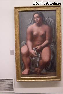 P28 [JUL-2011] Nud din Perioada Roz a lui Picasso