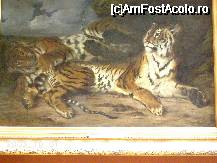 [P1x] Eugène Delacroix - Jeune tigre jouant avec sa mère » foto by Costi
 - 
<span class="allrVoted glyphicon glyphicon-heart hidden" id="av32531"></span>
<a class="m-l-10 hidden" id="sv32531" onclick="voting_Foto_DelVot(,32531,2491)" role="button">șterge vot <span class="glyphicon glyphicon-remove"></span></a>
<a id="v932531" class=" c-red"  onclick="voting_Foto_SetVot(32531)" role="button"><span class="glyphicon glyphicon-heart-empty"></span> <b>LIKE</b> = Votează poza</a> <img class="hidden"  id="f32531W9" src="/imagini/loader.gif" border="0" /><span class="AjErrMes hidden" id="e32531ErM"></span>