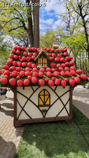 [P21] Târgul de Paște din Craiova 2025 » foto by vlado2
 - 
<span class="allrVoted glyphicon glyphicon-heart hidden" id="av1519694"></span>
<a class="m-l-10 hidden" id="sv1519694" onclick="voting_Foto_DelVot(,1519694,2510)" role="button">șterge vot <span class="glyphicon glyphicon-remove"></span></a>
<a id="v91519694" class=" c-red"  onclick="voting_Foto_SetVot(1519694)" role="button"><span class="glyphicon glyphicon-heart-empty"></span> <b>LIKE</b> = Votează poza</a> <img class="hidden"  id="f1519694W9" src="/imagini/loader.gif" border="0" /><span class="AjErrMes hidden" id="e1519694ErM"></span>