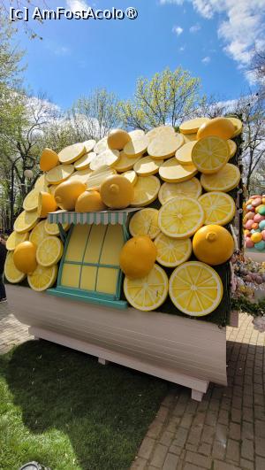 [P25] Târgul de Paște din Craiova 2025 » foto by vlado2
 - 
<span class="allrVoted glyphicon glyphicon-heart hidden" id="av1519698"></span>
<a class="m-l-10 hidden" id="sv1519698" onclick="voting_Foto_DelVot(,1519698,2510)" role="button">șterge vot <span class="glyphicon glyphicon-remove"></span></a>
<a id="v91519698" class=" c-red"  onclick="voting_Foto_SetVot(1519698)" role="button"><span class="glyphicon glyphicon-heart-empty"></span> <b>LIKE</b> = Votează poza</a> <img class="hidden"  id="f1519698W9" src="/imagini/loader.gif" border="0" /><span class="AjErrMes hidden" id="e1519698ErM"></span>