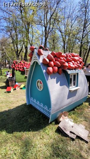 [P37] Târgul de Paște din Craiova 2025 » foto by vlado2
 - 
<span class="allrVoted glyphicon glyphicon-heart hidden" id="av1519710"></span>
<a class="m-l-10 hidden" id="sv1519710" onclick="voting_Foto_DelVot(,1519710,2510)" role="button">șterge vot <span class="glyphicon glyphicon-remove"></span></a>
<a id="v91519710" class=" c-red"  onclick="voting_Foto_SetVot(1519710)" role="button"><span class="glyphicon glyphicon-heart-empty"></span> <b>LIKE</b> = Votează poza</a> <img class="hidden"  id="f1519710W9" src="/imagini/loader.gif" border="0" /><span class="AjErrMes hidden" id="e1519710ErM"></span>