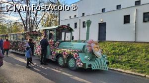 [P51] Târgul de Paște din Craiova 2025 » foto by vlado2
 - 
<span class="allrVoted glyphicon glyphicon-heart hidden" id="av1519724"></span>
<a class="m-l-10 hidden" id="sv1519724" onclick="voting_Foto_DelVot(,1519724,2510)" role="button">șterge vot <span class="glyphicon glyphicon-remove"></span></a>
<a id="v91519724" class=" c-red"  onclick="voting_Foto_SetVot(1519724)" role="button"><span class="glyphicon glyphicon-heart-empty"></span> <b>LIKE</b> = Votează poza</a> <img class="hidden"  id="f1519724W9" src="/imagini/loader.gif" border="0" /><span class="AjErrMes hidden" id="e1519724ErM"></span>