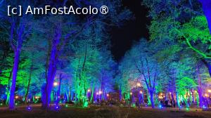 [P57] Târgul de Paște din Craiova 2025 » foto by vlado2
 - 
<span class="allrVoted glyphicon glyphicon-heart hidden" id="av1519730"></span>
<a class="m-l-10 hidden" id="sv1519730" onclick="voting_Foto_DelVot(,1519730,2510)" role="button">șterge vot <span class="glyphicon glyphicon-remove"></span></a>
<a id="v91519730" class=" c-red"  onclick="voting_Foto_SetVot(1519730)" role="button"><span class="glyphicon glyphicon-heart-empty"></span> <b>LIKE</b> = Votează poza</a> <img class="hidden"  id="f1519730W9" src="/imagini/loader.gif" border="0" /><span class="AjErrMes hidden" id="e1519730ErM"></span>