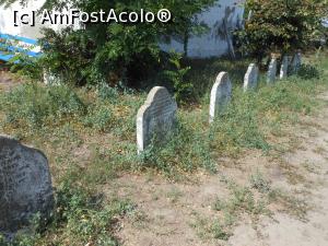 [P09] Sulina - Cimitirul Comisiei Europene a Dunării. Mormintele englezilor.  » foto by iulianic
 - 
<span class="allrVoted glyphicon glyphicon-heart hidden" id="av1107210"></span>
<a class="m-l-10 hidden" id="sv1107210" onclick="voting_Foto_DelVot(,1107210,2514)" role="button">șterge vot <span class="glyphicon glyphicon-remove"></span></a>
<a id="v91107210" class=" c-red"  onclick="voting_Foto_SetVot(1107210)" role="button"><span class="glyphicon glyphicon-heart-empty"></span> <b>LIKE</b> = Votează poza</a> <img class="hidden"  id="f1107210W9" src="/imagini/loader.gif" border="0" /><span class="AjErrMes hidden" id="e1107210ErM"></span>