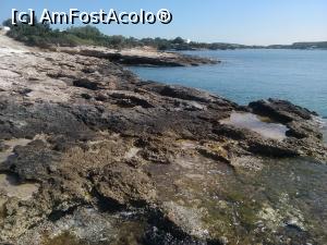 [P24] Un golf stancos de langa Santa Maria Beach. Oare ce-au gasit bogatasii lumii pe-aici?  » foto by dorgo
 - 
<span class="allrVoted glyphicon glyphicon-heart hidden" id="av832320"></span>
<a class="m-l-10 hidden" id="sv832320" onclick="voting_Foto_DelVot(,832320,2566)" role="button">șterge vot <span class="glyphicon glyphicon-remove"></span></a>
<a id="v9832320" class=" c-red"  onclick="voting_Foto_SetVot(832320)" role="button"><span class="glyphicon glyphicon-heart-empty"></span> <b>LIKE</b> = Votează poza</a> <img class="hidden"  id="f832320W9" src="/imagini/loader.gif" border="0" /><span class="AjErrMes hidden" id="e832320ErM"></span>