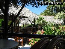 [P19] O taverna frumoasa din Gerakina nu retin numele, dar e o atmosfera foarte placuta si se mananca bine si convenabil. » foto by pitic25
 - 
<span class="allrVoted glyphicon glyphicon-heart hidden" id="av211446"></span>
<a class="m-l-10 hidden" id="sv211446" onclick="voting_Foto_DelVot(,211446,2570)" role="button">șterge vot <span class="glyphicon glyphicon-remove"></span></a>
<a id="v9211446" class=" c-red"  onclick="voting_Foto_SetVot(211446)" role="button"><span class="glyphicon glyphicon-heart-empty"></span> <b>LIKE</b> = Votează poza</a> <img class="hidden"  id="f211446W9" src="/imagini/loader.gif" border="0" /><span class="AjErrMes hidden" id="e211446ErM"></span>