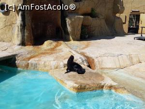 P30 [JUN-2021] A doua vacanță în Tunisia – la Zoo