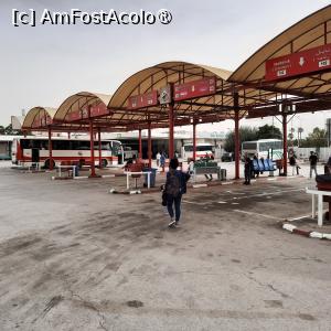 P08 [MAY-2024] Tunis, Gara de Autobuze numită și Stația Bab Alioua, peroanele pentru autobuze