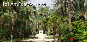 P09 [SEP-2019] Printre palmieri la Huerto del Cura - bustul eliberatorului oraşului Elche
