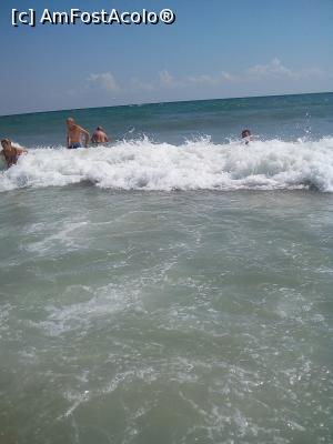 [P07] marea agitata in aceasta perioada » foto by mitica070463
 - 
<span class="allrVoted glyphicon glyphicon-heart hidden" id="av777289"></span>
<a class="m-l-10 hidden" id="sv777289" onclick="voting_Foto_DelVot(,777289,2846)" role="button">șterge vot <span class="glyphicon glyphicon-remove"></span></a>
<a id="v9777289" class=" c-red"  onclick="voting_Foto_SetVot(777289)" role="button"><span class="glyphicon glyphicon-heart-empty"></span> <b>LIKE</b> = Votează poza</a> <img class="hidden"  id="f777289W9" src="/imagini/loader.gif" border="0" /><span class="AjErrMes hidden" id="e777289ErM"></span>