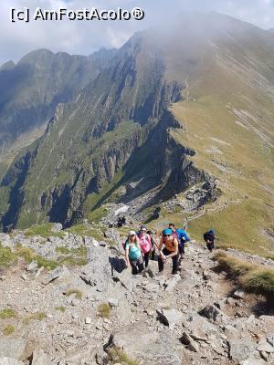 [P10] Vâful Moldoveanu, Traseu circuit: –spre Vf. Viștea Mare, 2527m, al treilea vârf ca înălțime din țară.  » foto by Dana2008
 - 
<span class="allrVoted glyphicon glyphicon-heart hidden" id="av1104322"></span>
<a class="m-l-10 hidden" id="sv1104322" onclick="voting_Foto_DelVot(,1104322,2855)" role="button">șterge vot <span class="glyphicon glyphicon-remove"></span></a>
<a id="v91104322" class=" c-red"  onclick="voting_Foto_SetVot(1104322)" role="button"><span class="glyphicon glyphicon-heart-empty"></span> <b>LIKE</b> = Votează poza</a> <img class="hidden"  id="f1104322W9" src="/imagini/loader.gif" border="0" /><span class="AjErrMes hidden" id="e1104322ErM"></span>