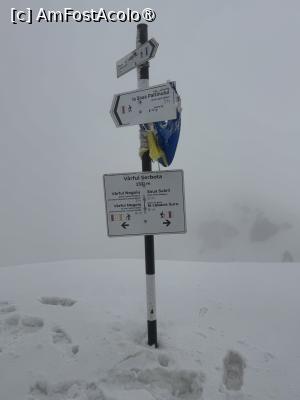 [P15] Pe varf » foto by Mika
 - 
<span class="allrVoted glyphicon glyphicon-heart hidden" id="av1525886"></span>
<a class="m-l-10 hidden" id="sv1525886" onclick="voting_Foto_DelVot(,1525886,2855)" role="button">șterge vot <span class="glyphicon glyphicon-remove"></span></a>
<a id="v91525886" class=" c-red"  onclick="voting_Foto_SetVot(1525886)" role="button"><span class="glyphicon glyphicon-heart-empty"></span> <b>LIKE</b> = Votează poza</a> <img class="hidden"  id="f1525886W9" src="/imagini/loader.gif" border="0" /><span class="AjErrMes hidden" id="e1525886ErM"></span>