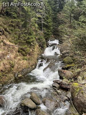 [P02] Spre Cabana Negoiu » foto by Mika
 - 
<span class="allrVoted glyphicon glyphicon-heart hidden" id="av1525873"></span>
<a class="m-l-10 hidden" id="sv1525873" onclick="voting_Foto_DelVot(,1525873,2855)" role="button">șterge vot <span class="glyphicon glyphicon-remove"></span></a>
<a id="v91525873" class=" c-red"  onclick="voting_Foto_SetVot(1525873)" role="button"><span class="glyphicon glyphicon-heart-empty"></span> <b>LIKE</b> = Votează poza</a> <img class="hidden"  id="f1525873W9" src="/imagini/loader.gif" border="0" /><span class="AjErrMes hidden" id="e1525873ErM"></span>