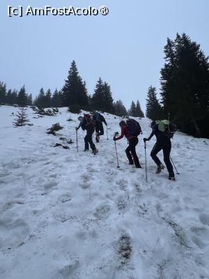 [P06] Spre Vârful Serbota » foto by Mika
 - 
<span class="allrVoted glyphicon glyphicon-heart hidden" id="av1525877"></span>
<a class="m-l-10 hidden" id="sv1525877" onclick="voting_Foto_DelVot(,1525877,2855)" role="button">șterge vot <span class="glyphicon glyphicon-remove"></span></a>
<a id="v91525877" class=" c-red"  onclick="voting_Foto_SetVot(1525877)" role="button"><span class="glyphicon glyphicon-heart-empty"></span> <b>LIKE</b> = Votează poza</a> <img class="hidden"  id="f1525877W9" src="/imagini/loader.gif" border="0" /><span class="AjErrMes hidden" id="e1525877ErM"></span>