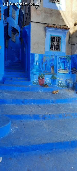 [P81] Chefchaouen, Medina » foto by mprofeanu
 - 
<span class="allrVoted glyphicon glyphicon-heart hidden" id="av1456315"></span>
<a class="m-l-10 hidden" id="sv1456315" onclick="voting_Foto_DelVot(,1456315,2870)" role="button">șterge vot <span class="glyphicon glyphicon-remove"></span></a>
<a id="v91456315" class=" c-red"  onclick="voting_Foto_SetVot(1456315)" role="button"><span class="glyphicon glyphicon-heart-empty"></span> <b>LIKE</b> = Votează poza</a> <img class="hidden"  id="f1456315W9" src="/imagini/loader.gif" border="0" /><span class="AjErrMes hidden" id="e1456315ErM"></span>