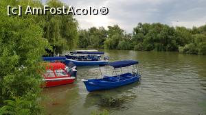 [P01] Debarcaderul de la Murighiol seara - locul de unde am plecat a doua zi dimineață la plimbare pe canalele și lacurile din Delta Dunării.  » foto by Floryn81
 - 
<span class="allrVoted glyphicon glyphicon-heart hidden" id="av981849"></span>
<a class="m-l-10 hidden" id="sv981849" onclick="voting_Foto_DelVot(,981849,2956)" role="button">șterge vot <span class="glyphicon glyphicon-remove"></span></a>
<a id="v9981849" class=" c-red"  onclick="voting_Foto_SetVot(981849)" role="button"><span class="glyphicon glyphicon-heart-empty"></span> <b>LIKE</b> = Votează poza</a> <img class="hidden"  id="f981849W9" src="/imagini/loader.gif" border="0" /><span class="AjErrMes hidden" id="e981849ErM"></span>