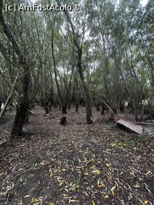 [P16] Insula din spatele pensiunii, cam lasata in voia sortii » foto by raluca banu
 - 
<span class="allrVoted glyphicon glyphicon-heart hidden" id="av1503066"></span>
<a class="m-l-10 hidden" id="sv1503066" onclick="voting_Foto_DelVot(,1503066,2956)" role="button">șterge vot <span class="glyphicon glyphicon-remove"></span></a>
<a id="v91503066" class=" c-red"  onclick="voting_Foto_SetVot(1503066)" role="button"><span class="glyphicon glyphicon-heart-empty"></span> <b>LIKE</b> = Votează poza</a> <img class="hidden"  id="f1503066W9" src="/imagini/loader.gif" border="0" /><span class="AjErrMes hidden" id="e1503066ErM"></span>