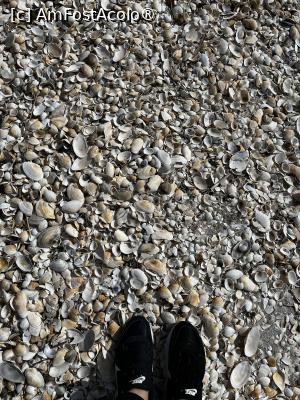 [P02] Multitudinea de cochilii de pe Plaja Perisor » foto by raluca banu
 - 
<span class="allrVoted glyphicon glyphicon-heart hidden" id="av1517445"></span>
<a class="m-l-10 hidden" id="sv1517445" onclick="voting_Foto_DelVot(,1517445,2956)" role="button">șterge vot <span class="glyphicon glyphicon-remove"></span></a>
<a id="v91517445" class=" c-red"  onclick="voting_Foto_SetVot(1517445)" role="button"><span class="glyphicon glyphicon-heart-empty"></span> <b>LIKE</b> = Votează poza</a> <img class="hidden"  id="f1517445W9" src="/imagini/loader.gif" border="0" /><span class="AjErrMes hidden" id="e1517445ErM"></span>