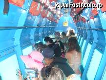 [P25] Imagine din partea submersibila a vaporului. Peretii sunt transparenti si vezi fundul marii si bineinteles toat fauna in mediul natural de viata » foto by luminitab
 - 
<span class="allrVoted glyphicon glyphicon-heart hidden" id="av100250"></span>
<a class="m-l-10 hidden" id="sv100250" onclick="voting_Foto_DelVot(,100250,3004)" role="button">șterge vot <span class="glyphicon glyphicon-remove"></span></a>
<a id="v9100250" class=" c-red"  onclick="voting_Foto_SetVot(100250)" role="button"><span class="glyphicon glyphicon-heart-empty"></span> <b>LIKE</b> = Votează poza</a> <img class="hidden"  id="f100250W9" src="/imagini/loader.gif" border="0" /><span class="AjErrMes hidden" id="e100250ErM"></span>