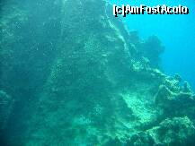 [P08] Imagine subacvatica din submarinul galben, culoarea apei este ireala... » foto by liviadavidescu
 - 
<span class="allrVoted glyphicon glyphicon-heart hidden" id="av124088"></span>
<a class="m-l-10 hidden" id="sv124088" onclick="voting_Foto_DelVot(,124088,3004)" role="button">șterge vot <span class="glyphicon glyphicon-remove"></span></a>
<a id="v9124088" class=" c-red"  onclick="voting_Foto_SetVot(124088)" role="button"><span class="glyphicon glyphicon-heart-empty"></span> <b>LIKE</b> = Votează poza</a> <img class="hidden"  id="f124088W9" src="/imagini/loader.gif" border="0" /><span class="AjErrMes hidden" id="e124088ErM"></span>