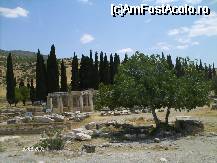 [P05] Hierapolis si baile termale » foto by Valentina69
 - 
<span class="allrVoted glyphicon glyphicon-heart hidden" id="av32035"></span>
<a class="m-l-10 hidden" id="sv32035" onclick="voting_Foto_DelVot(,32035,3039)" role="button">șterge vot <span class="glyphicon glyphicon-remove"></span></a>
<a id="v932035" class=" c-red"  onclick="voting_Foto_SetVot(32035)" role="button"><span class="glyphicon glyphicon-heart-empty"></span> <b>LIKE</b> = Votează poza</a> <img class="hidden"  id="f32035W9" src="/imagini/loader.gif" border="0" /><span class="AjErrMes hidden" id="e32035ErM"></span>