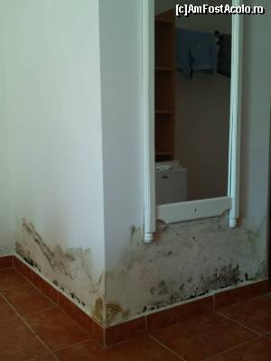 [P02] hotel Select Mamaia 3 stele cum sta igrasia pe pereti in camera unde dormi, saltele care te doare spatele, te trezesti mai obosit decat ai adormit, saltele vechi, lenjerie neschimbata timp de 9 seri,  » foto by ion22
 - 
<span class="allrVoted glyphicon glyphicon-heart hidden" id="av548503"></span>
<a class="m-l-10 hidden" id="sv548503" onclick="voting_Foto_DelVot(,548503,3048)" role="button">șterge vot <span class="glyphicon glyphicon-remove"></span></a>
<a id="v9548503" class=" c-red"  onclick="voting_Foto_SetVot(548503)" role="button"><span class="glyphicon glyphicon-heart-empty"></span> <b>LIKE</b> = Votează poza</a> <img class="hidden"  id="f548503W9" src="/imagini/loader.gif" border="0" /><span class="AjErrMes hidden" id="e548503ErM"></span>
