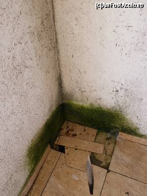 [P05] Hotel Select 3 stele din Mamaia balcon fara curatenie asa am gasit balconul tot asa l-am si lasat de murdar, nimeni nu a intrat in camera pentru curatenie, oare merita hotelul acesta 3 stele?pe ce luati banii? rusine » foto by ion22
 - 
<span class="allrVoted glyphicon glyphicon-heart hidden" id="av548512"></span>
<a class="m-l-10 hidden" id="sv548512" onclick="voting_Foto_DelVot(,548512,3048)" role="button">șterge vot <span class="glyphicon glyphicon-remove"></span></a>
<a id="v9548512" class=" c-red"  onclick="voting_Foto_SetVot(548512)" role="button"><span class="glyphicon glyphicon-heart-empty"></span> <b>LIKE</b> = Votează poza</a> <img class="hidden"  id="f548512W9" src="/imagini/loader.gif" border="0" /><span class="AjErrMes hidden" id="e548512ErM"></span>