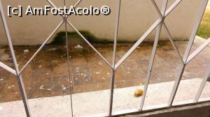 [P01] Privelistea din fata balconului... pacat ca fotografia nu poate sugera si mirosul dezagreabil.  » foto by delyne
 - 
<span class="allrVoted glyphicon glyphicon-heart hidden" id="av777558"></span>
<a class="m-l-10 hidden" id="sv777558" onclick="voting_Foto_DelVot(,777558,3048)" role="button">șterge vot <span class="glyphicon glyphicon-remove"></span></a>
<a id="v9777558" class=" c-red"  onclick="voting_Foto_SetVot(777558)" role="button"><span class="glyphicon glyphicon-heart-empty"></span> <b>LIKE</b> = Votează poza</a> <img class="hidden"  id="f777558W9" src="/imagini/loader.gif" border="0" /><span class="AjErrMes hidden" id="e777558ErM"></span>